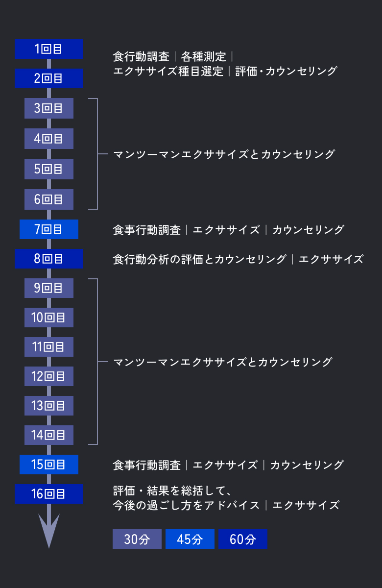 1回目～2回目：60分 食行動調査｜各種測定｜エクササイズ種目選定｜評価・カウンセリング 3回目～6回目：30分 マンツーマンエクササイズとカウンセリング 7回目：45分 食事行動調査｜エクササイズ｜カウンセリング 8回目：60分 行動分析の評価とカウンセリング｜エクササイズ 9回目～14回目：30分 マンツーマンエクササイズとカウンセリング 15回目：45分 食事行動調査｜エクササイズ｜カウンセリング 16回目：60分 評価・結果を総括して、今後の過ごし方をアドバイス｜エクササイズ