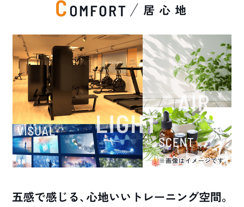 02 COMFORT/居心地 五感で感じる、心地いいトレーニング空間。
