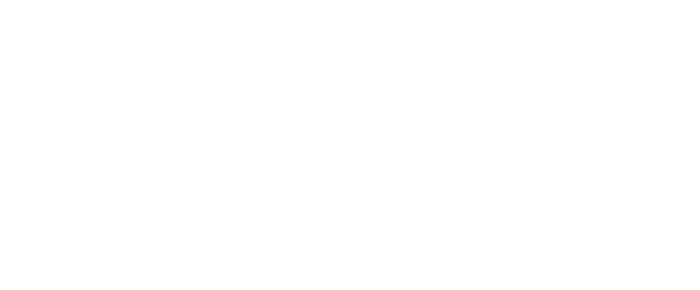 INTERIOR SCENT LIGHT AIR VISUAL