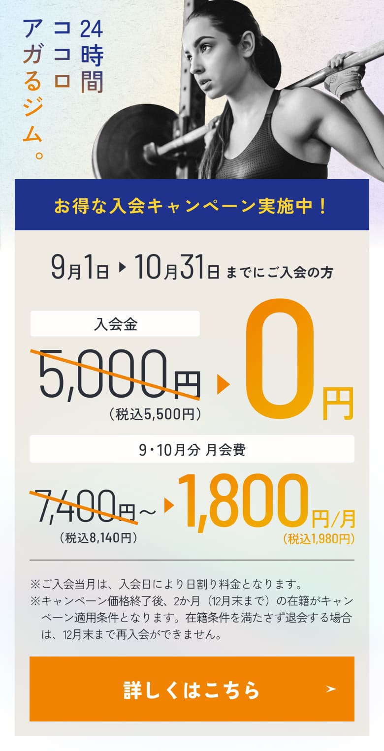 【9/1更新】8月_グローバルMV